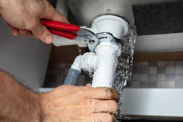 Best Mold removal after water damage  in Pflugerville, TX