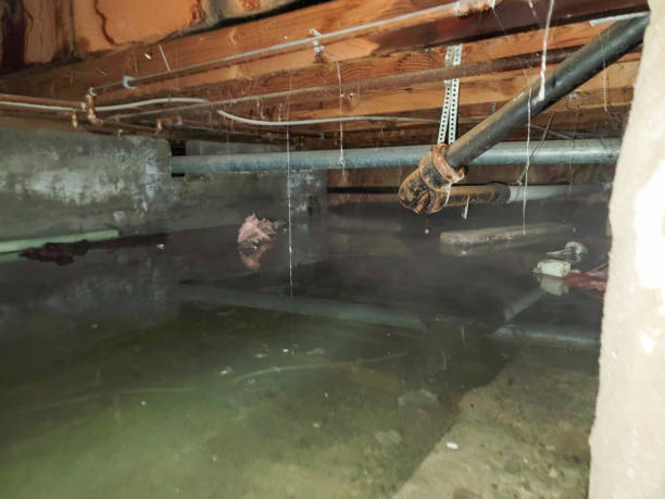 Best Flood restoration services  in Pflugerville, TX