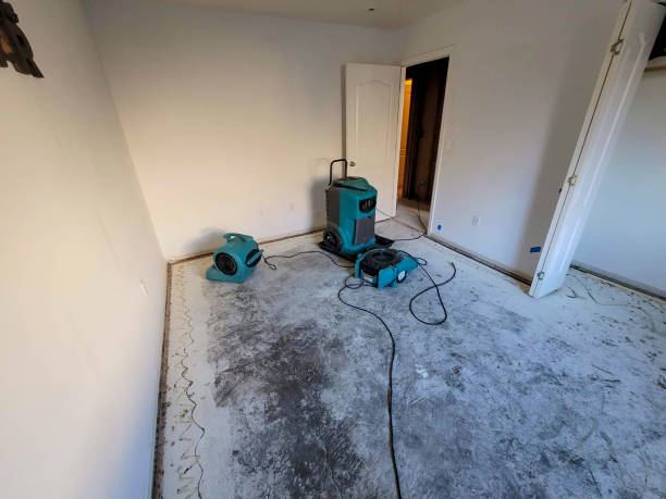 Best 24-hour water damage restoration  in Pflugerville, TX
